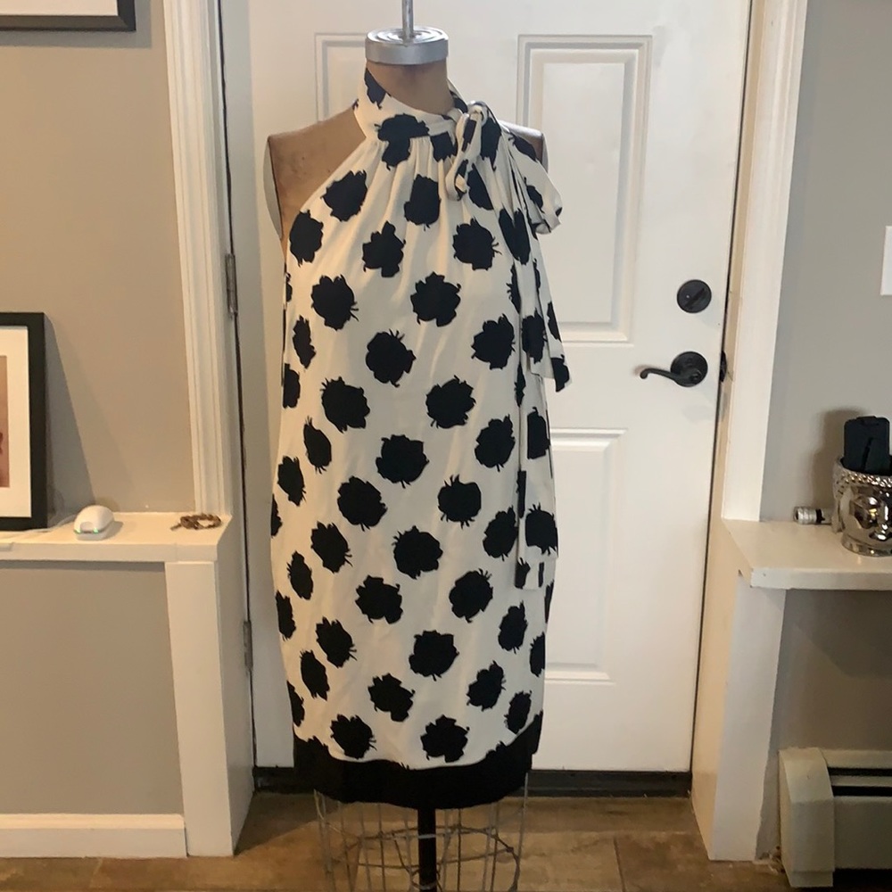 Diane Von Fuerstenberg dress